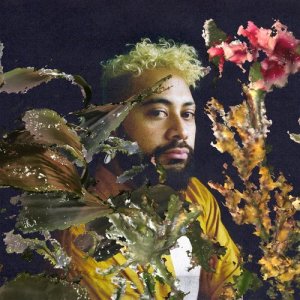 收聽Noah Slee的Soulflower歌詞歌曲