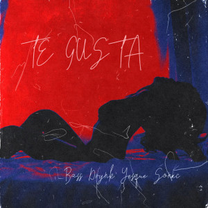Listen to Te Gusta song with lyrics from Bass Drynk