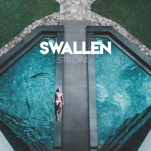 Album Striding from Swallen