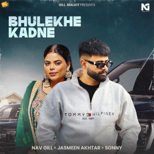 Dilpreet Kau的專輯Bhulekhe Kadne