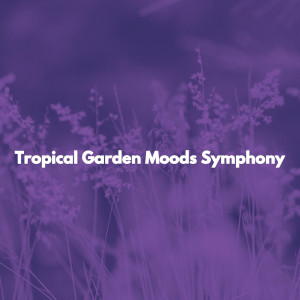 Musik zum Entspannen的專輯Tropical Garden Moods Symphony