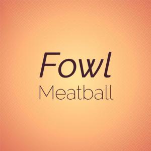 Various Artists的專輯Fowl Meatball