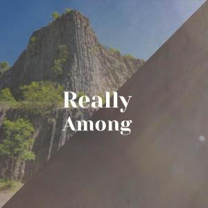 Various的专辑Really Among