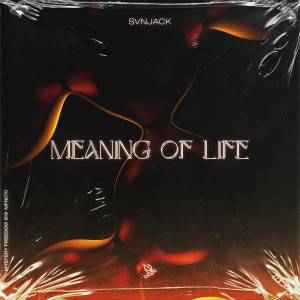 Album Meaning of Life (Radio Mix) from SVNJACK