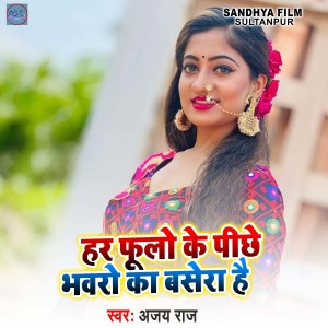 Ajay Raj的专辑Har Fulo Ke Pichhe Bhawaro Ka Basera Hai