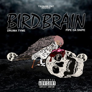 Listen to Bird Brain (Explicit) song with lyrics from DrumaTyme