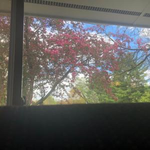 收听Preston Vaughn的Daydream歌词歌曲