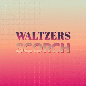 Album Waltzers Scorch from Various