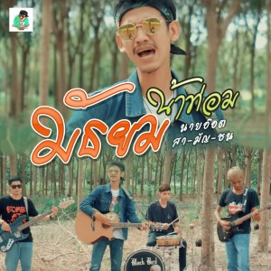 Listen to มัธยมน้ำท่อม song with lyrics from นายอ๊อต สา-มัญ-ชน