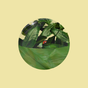 收听Flandrs的Echo歌词歌曲