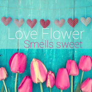 Listen to Secret Love song with lyrics from Jonathan Wilton