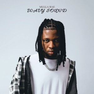 Listen to Verified (Explicit) song with lyrics from Mulla Rae