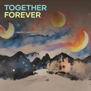 Listen to Together Forever song with lyrics from Anggara
