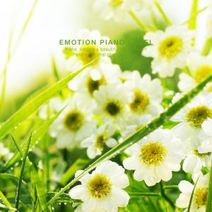 收聽Seo Jiyeon的Flower blooming in the light歌詞歌曲