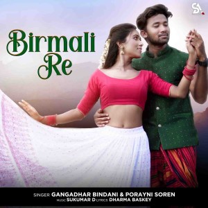 Album Birmali Re from Gangadhar Bindani