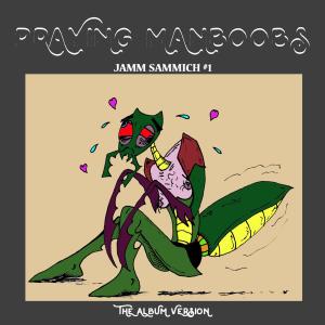 收聽Praying Manboobs的Burrito Banditio (Explicit)歌詞歌曲