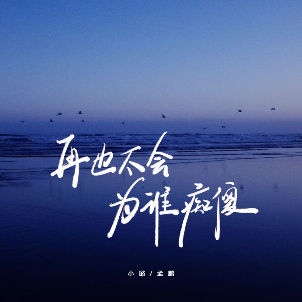 再也不会为谁痴傻 (对唱版伴奏)