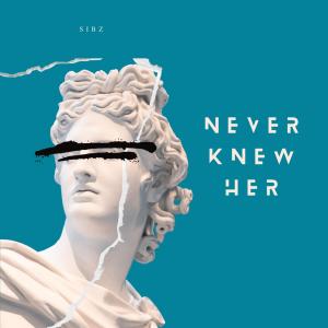 Dengarkan lagu No More Mr. Nice Guy (feat. $amaad) (Explicit) nyanyian Sibz dengan lirik
