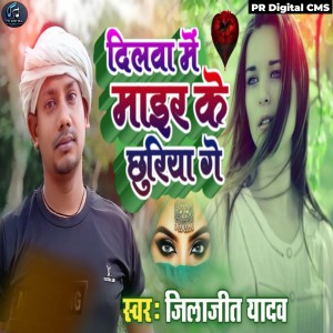 Listen to Dilva Me Maer Ke Chhuriya Ge song with lyrics from Jilajeet Yadav