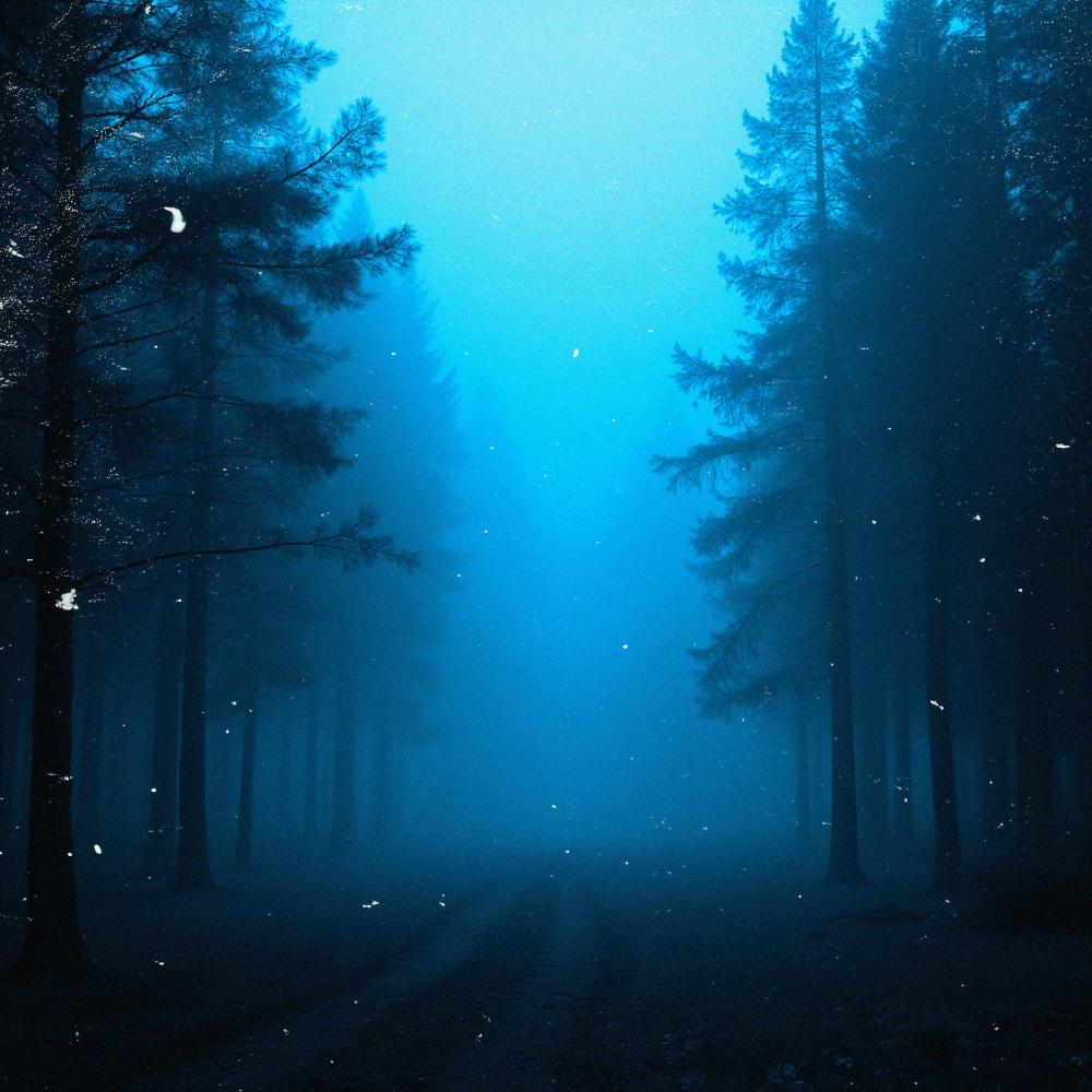 Through The Blur (slowed + reverb)