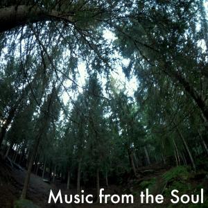 Listen to The light song with lyrics from Suka