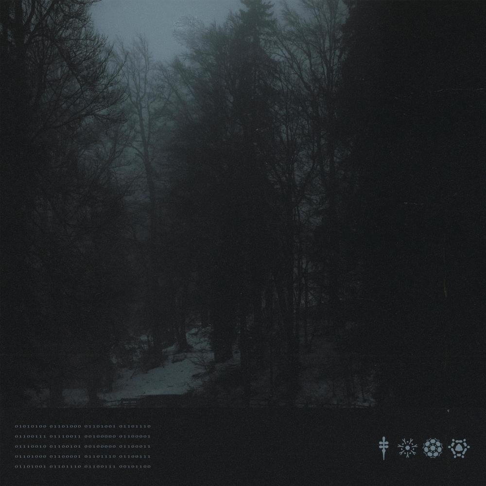 Nocturne