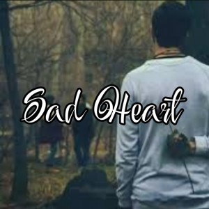 Album Sad heart from Saginbaev