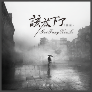 收听张萧介的该放下了 (男版伴奏)歌词歌曲