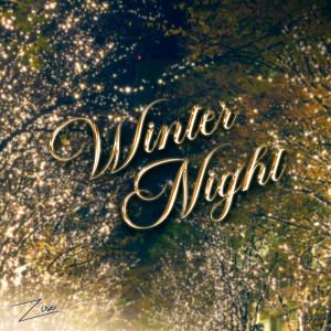Dengarkan Winter Night lagu dari ZISE dengan lirik