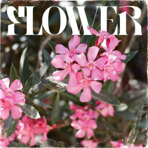 Listen to Flower song with lyrics from NEKOB