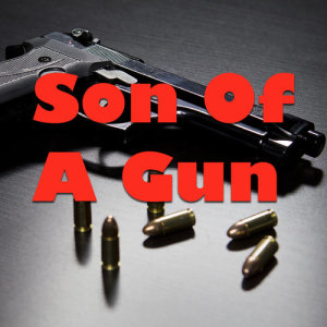 Album Son Of A Gun (Explicit) from Various Artists