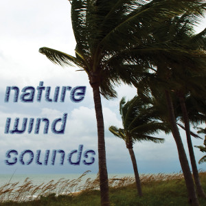 收聽Relaxation Moods的Nature Wind Sounds歌詞歌曲