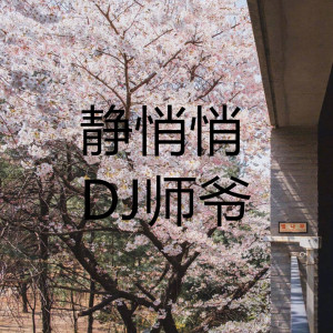 Listen to 静悄悄 song with lyrics from DJ师爷