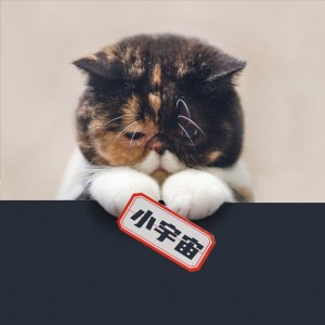 收聽柒玥的小宇宙 (完整版)歌詞歌曲