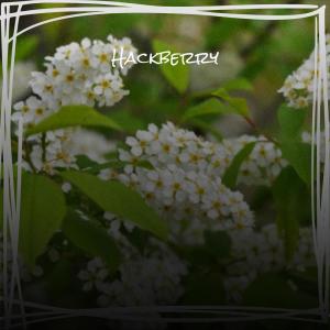 收听Rhia Cico的Querken歌词歌曲