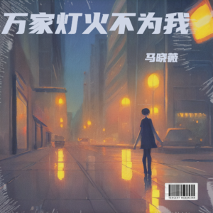Listen to 万家灯火不为我 (伴奏) song with lyrics from 马晓薇