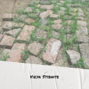 Listen to Child Oath song with lyrics from Melvil Bins