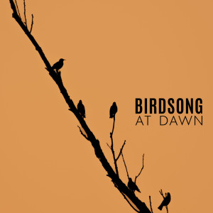 The Calming Sounds of Nature的专辑Birdsong at Dawn (Sleepy Instrumental Music with Nature Soundscapes for Relaxation)