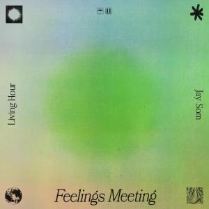อัลบัม Feelings Meeting ศิลปิน Jay Som