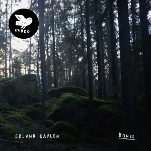 Listen to Swan song with lyrics from Erland Dahlen