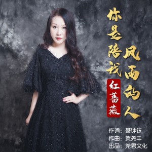 Listen to 你是陪我走过风雨的人 (完整版) song with lyrics from 红蔷薇
