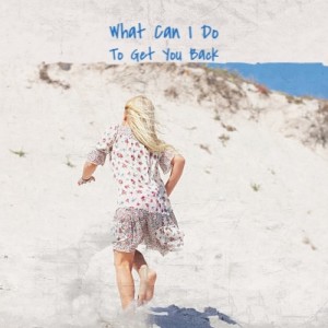 Album What Can I Do to Get You Back from Various