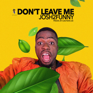 Album Don’t Leave Me from Josh2funny