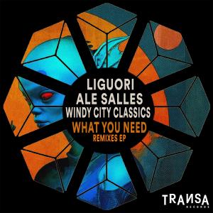 Album What You Need (Remixes EP) from Liguori