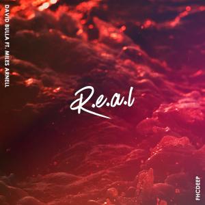 Album R.E.A.L (feat. Miles Arnell) from David Bulla