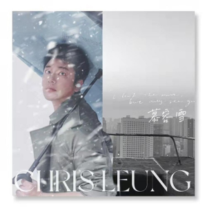 衛聞Chris Leung的專輯慕容雪