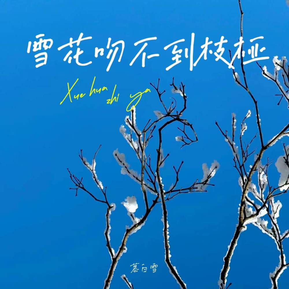 雪花吻不到枝桠