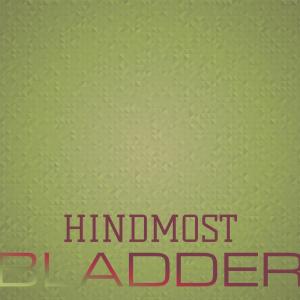 อัลบัม Hindmost Bladder ศิลปิน Various