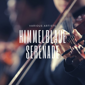 Album Himmelblaue Serenade oleh Die Teddies
