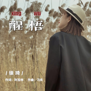 Listen to 醒悟 (伴奏) song with lyrics from 琦不凡